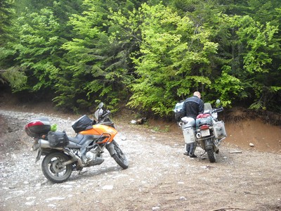 132. Okolí NP Biogradská Gora.jpg